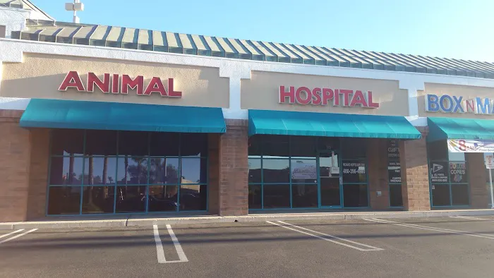 Superstition Animal Hospital Picture 6