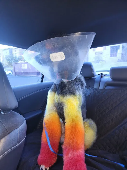 Superstition Animal Hospital Picture 10