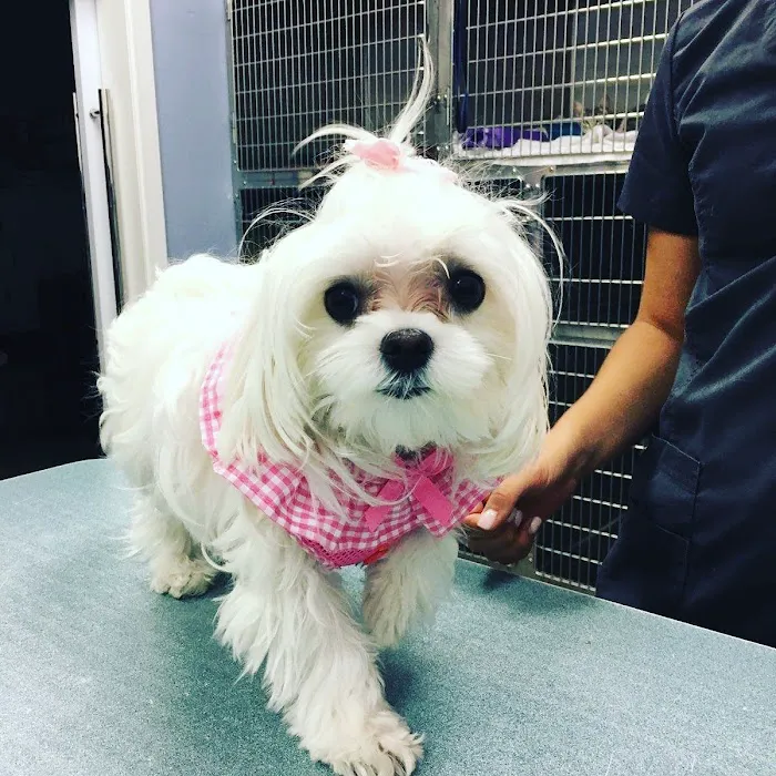 Pecan Grove Veterinary Hospital Picture 5