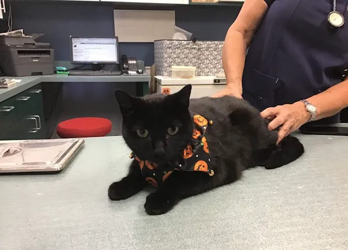 Pecan Grove Veterinary Hospital Picture 6