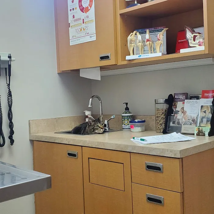 Gilbert Veterinary Hospital Picture 1