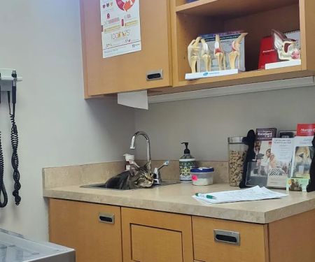 Gilbert Veterinary Hospital