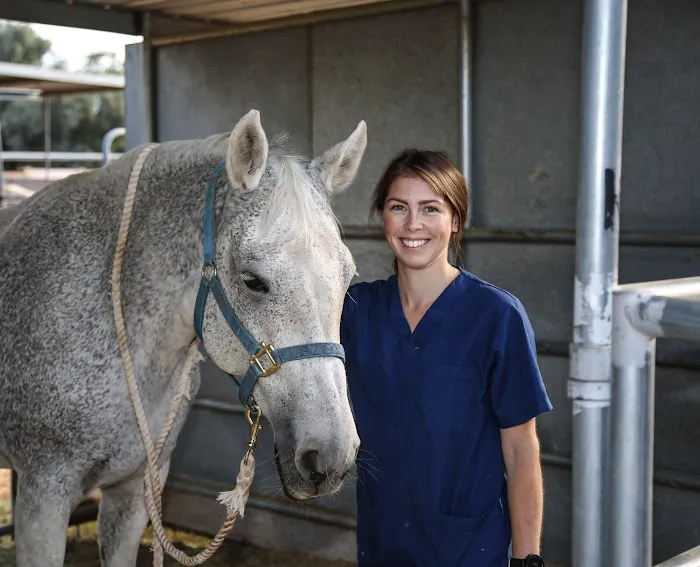 Arizona Equine Medical & Surgical Centre Picture 3