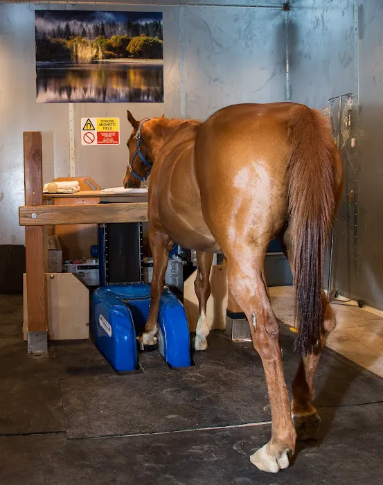Arizona Equine Medical & Surgical Centre Picture 5