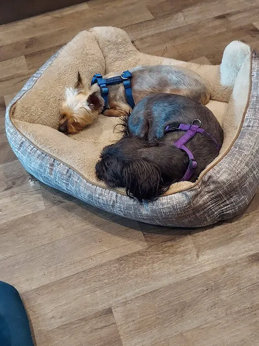 Banfield Pet Hospital Picture 5