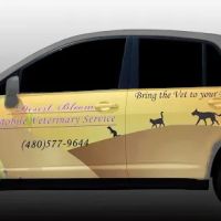 Desert Bloom Mobile Veterinary Service ico