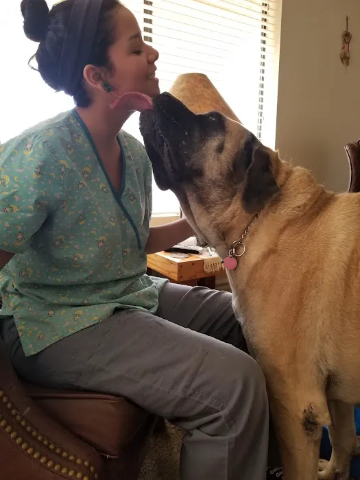 Desert Bloom Mobile Veterinary Service Picture 7