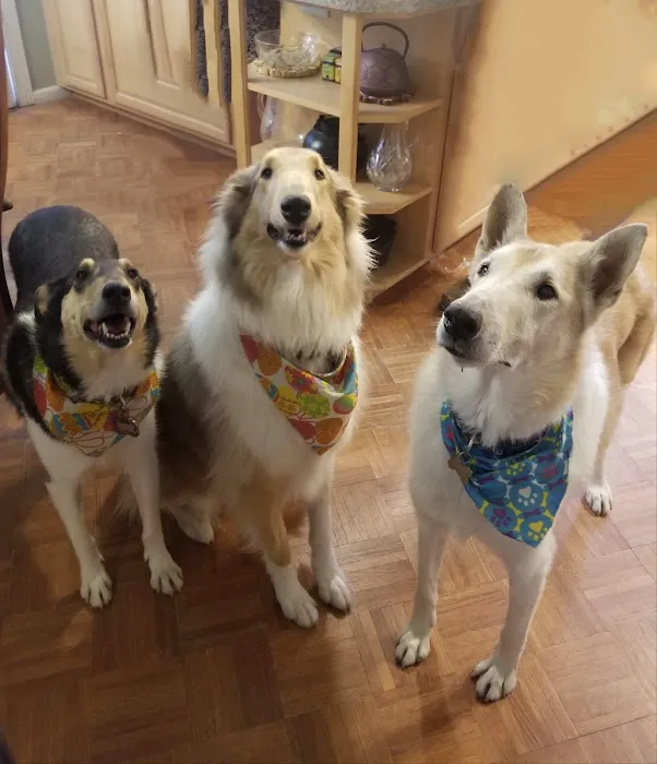 Desert Bloom Mobile Veterinary Service Picture 4