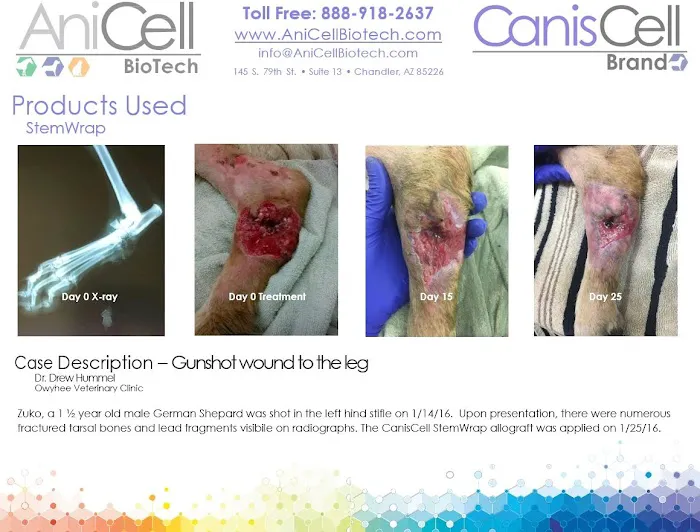 AniCell Biotech, LLC Picture 6