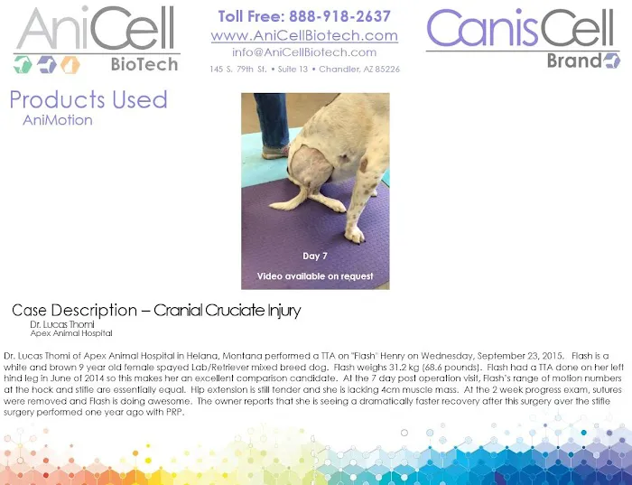 AniCell Biotech, LLC Picture 8