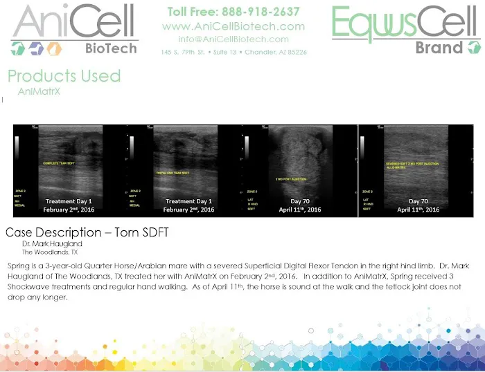 AniCell Biotech, LLC Picture 7