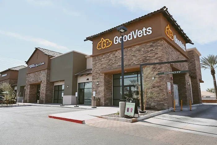 GoodVets Chandler Picture 1
