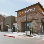 GoodVets Chandler