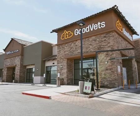 GoodVets Chandler