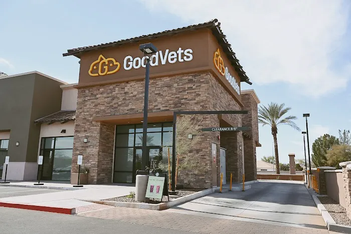 GoodVets Chandler Picture 4