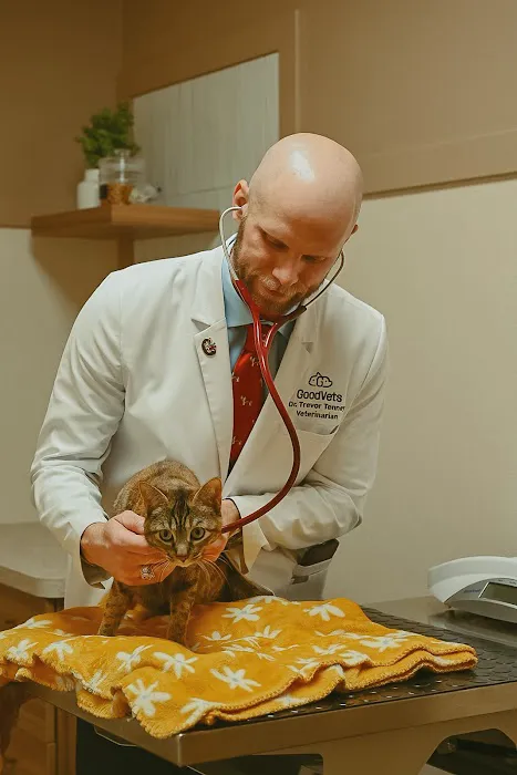 GoodVets Chandler Picture 6