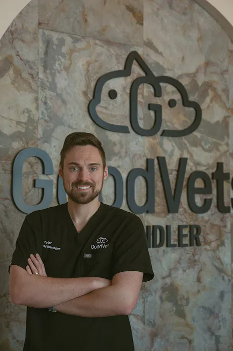 GoodVets Chandler Picture 8