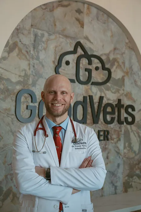 GoodVets Chandler Picture 10