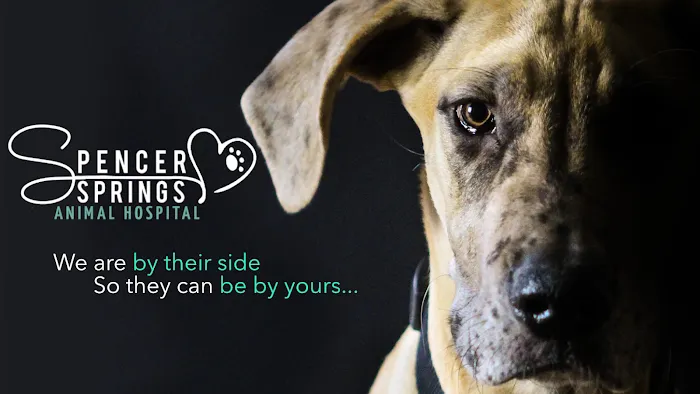 Spencer Springs Animal Hospital Picture 2