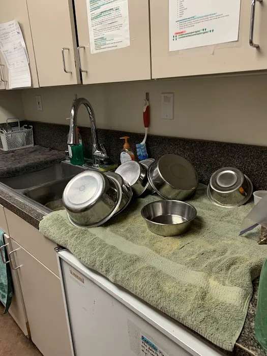 Spencer Springs Animal Hospital Picture 4