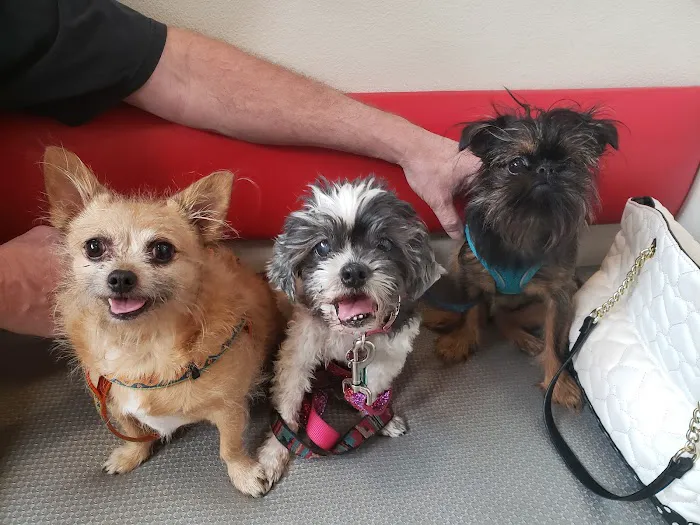 Spencer Springs Animal Hospital Picture 3