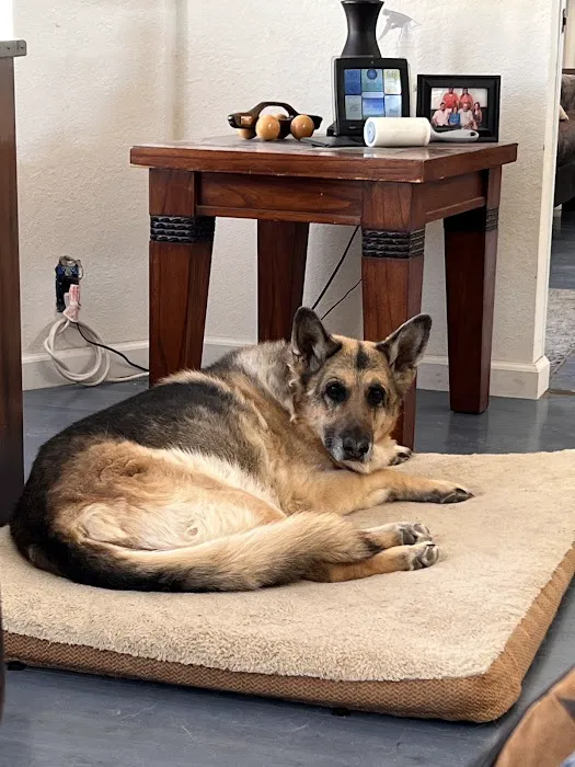 Durango Animal Hospital Picture 7