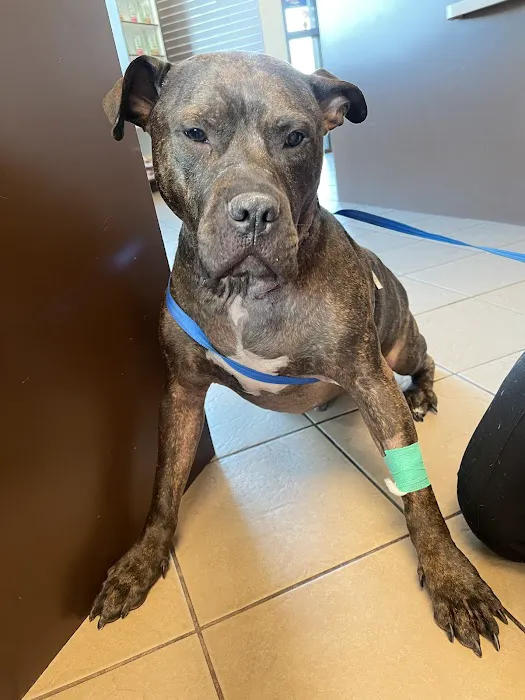 Durango Animal Hospital Picture 9