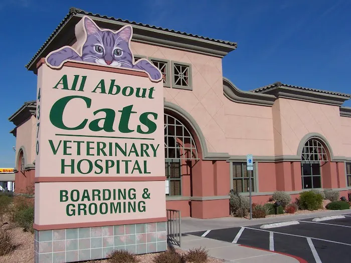 All About Cats Veterinary Hospital Picture 2