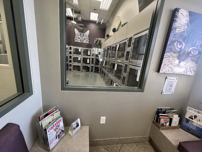 All About Cats Veterinary Hospital Picture 4