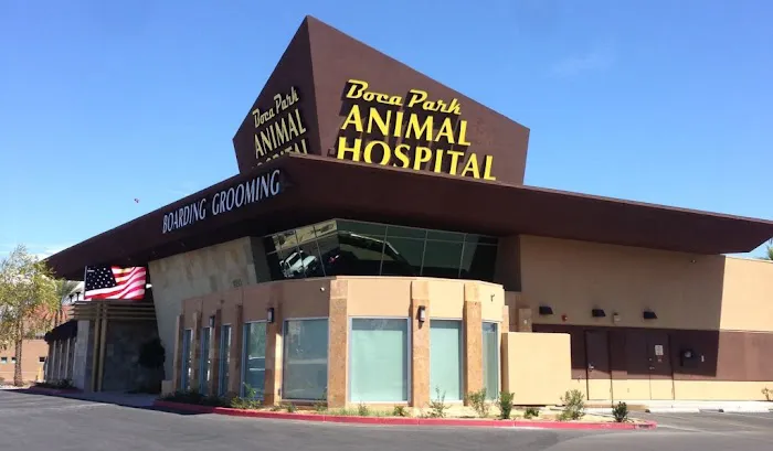 Boca Park Animal Hospital Picture 2