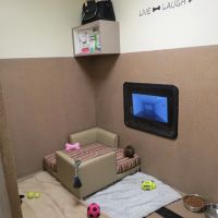 Boca Park Animal Hospital ico