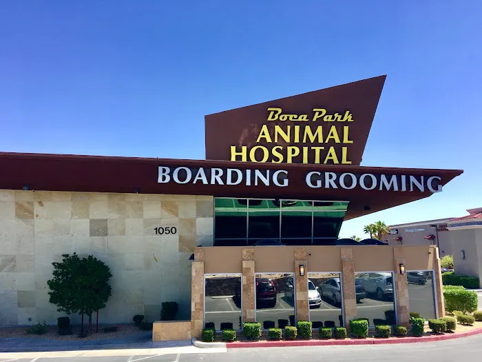 Boca Park Animal Hospital Picture 5