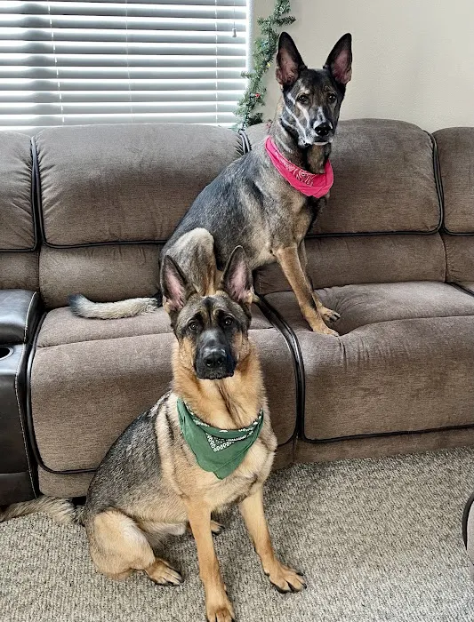 Boca Park Animal Hospital Picture 4
