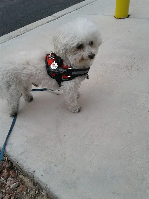 Summerlin Animal Hospital Picture 5