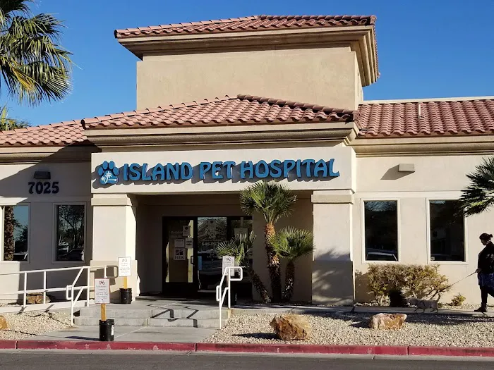 Island Pet Hospital Picture 2