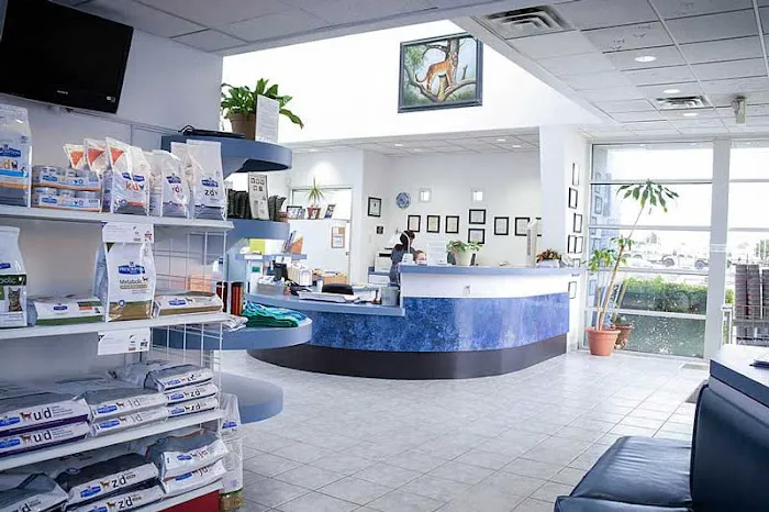Creature Comforts Animal Hospital Picture 1