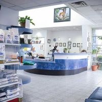 Creature Comforts Animal Hospital ico