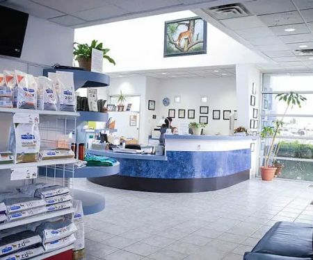 Creature Comforts Animal Hospital