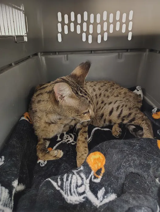 Gateway Pet Hospital Picture 9