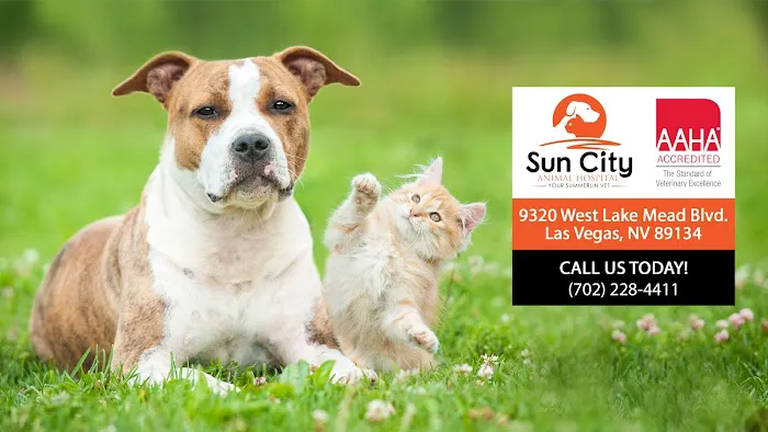 Sun City Animal Hospital Picture 1