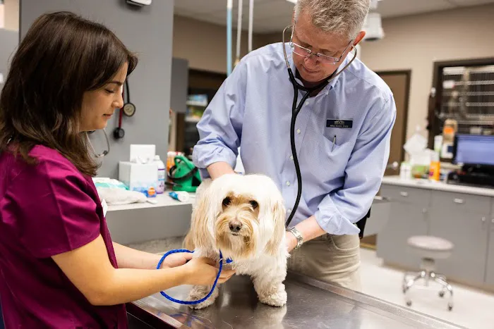 Sun City Animal Hospital Picture 2