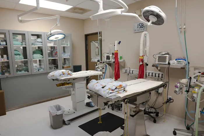 Sun City Animal Hospital Picture 4