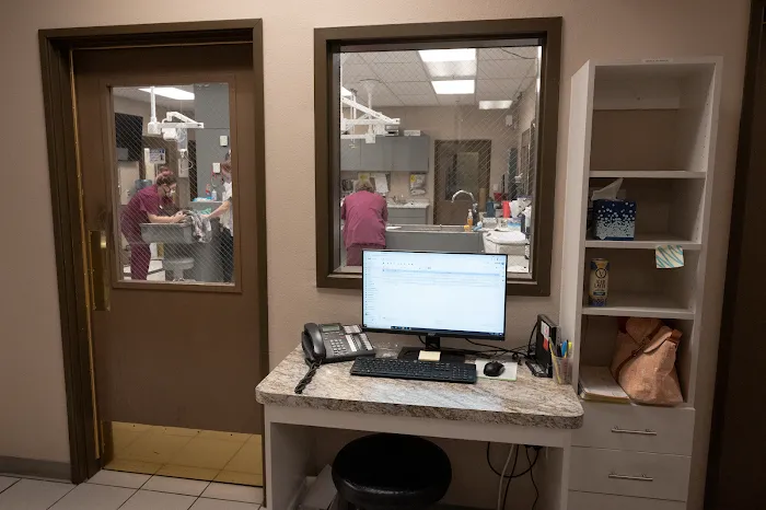 Sun City Animal Hospital Picture 6