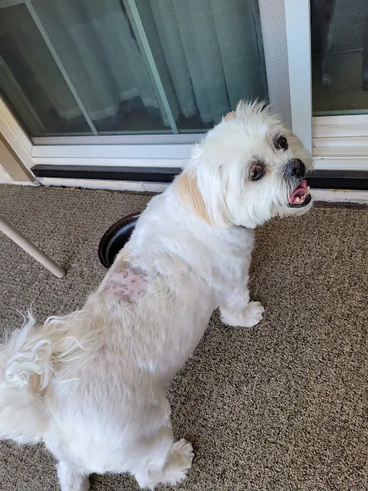 Sun City Animal Hospital Picture 7