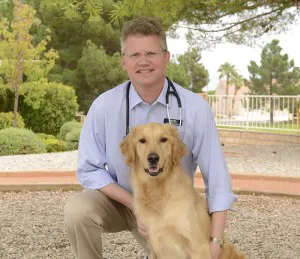 Sun City Animal Hospital Picture 8