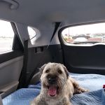 VCA Warm Springs Animal Hospital