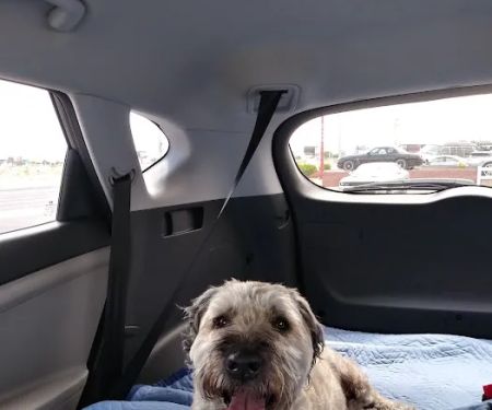 VCA Warm Springs Animal Hospital