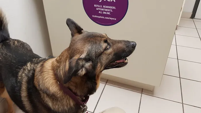 VCA Warm Springs Animal Hospital Picture 4