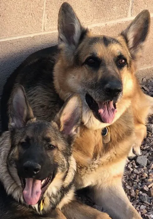 VCA Warm Springs Animal Hospital Picture 5