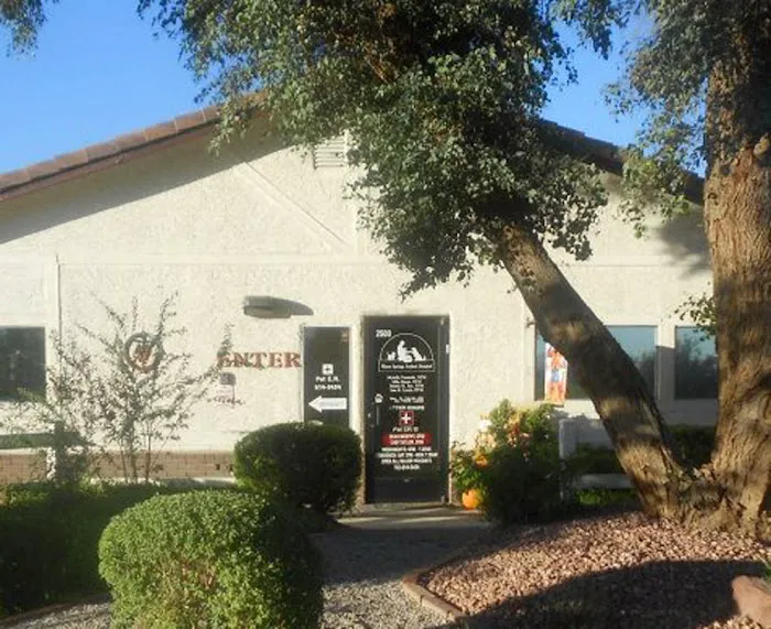 VCA Warm Springs Animal Hospital Picture 6